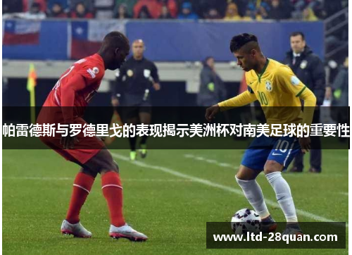 帕雷德斯与罗德里戈的表现揭示美洲杯对南美足球的重要性
