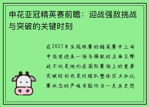 申花亚冠精英赛前瞻：迎战强敌挑战与突破的关键时刻