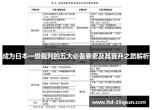 成为日本一级裁判的五大必备要素及其晋升之路解析