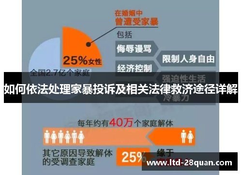 如何依法处理家暴投诉及相关法律救济途径详解