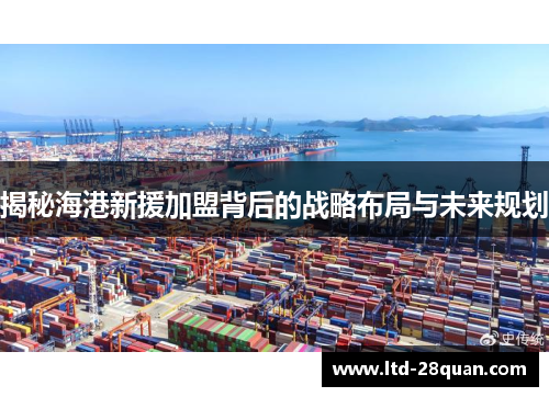 揭秘海港新援加盟背后的战略布局与未来规划