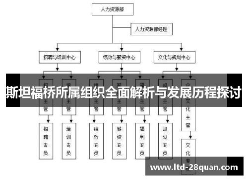 斯坦福桥所属组织全面解析与发展历程探讨