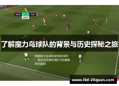 了解魔力鸟球队的背景与历史探秘之旅