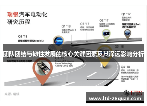 团队团结与韧性发展的核心关键因素及其深远影响分析