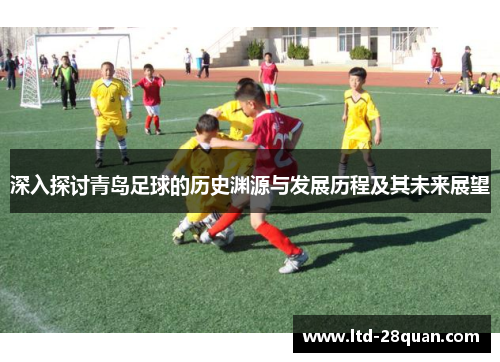 深入探讨青岛足球的历史渊源与发展历程及其未来展望