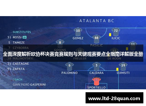 全面深度解析欧协杯决赛竞赛规则与关键观赛要点全指南详解版全册