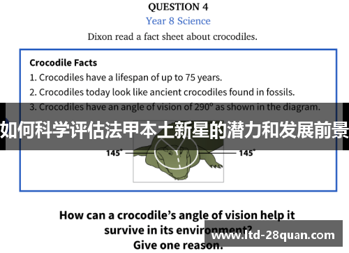 如何科学评估法甲本土新星的潜力和发展前景