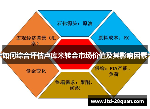 如何综合评估卢库米转会市场价值及其影响因素